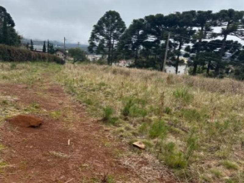 Foto 10 de 12: Terreno em leilão em Gramado - RS, bairro Várzea Grande — Lote, 4082.96 m2, Gramado / RS