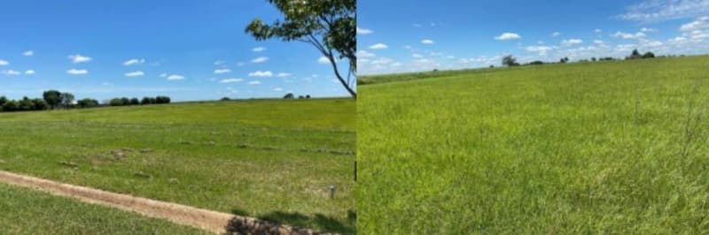 Foto 2 de 2: Terreno em leilão em Birigui - SP — Imóvel Urbano Terreno com área total de 2.700,12 m² - Birigui - SP