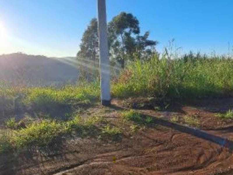 Foto 5 de 9: Terreno em leilão em Cordilheira Alta - SC, bairro Interior — Lote, 330.31 m2, Cordilheira Alta / SC