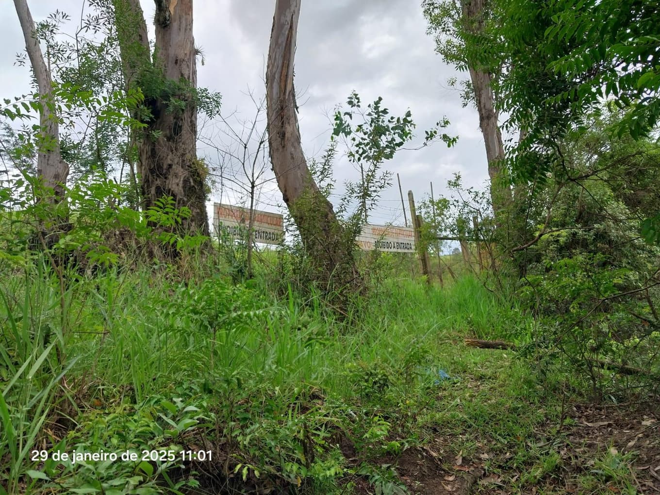 Foto 3 de 16: Terreno em leilão em Ponta Grossa - PR, bairro Colônia Dona Luiza — Terreno urbano, com área de terreno total de 10.260,00m², Ponta Grossa/PR
