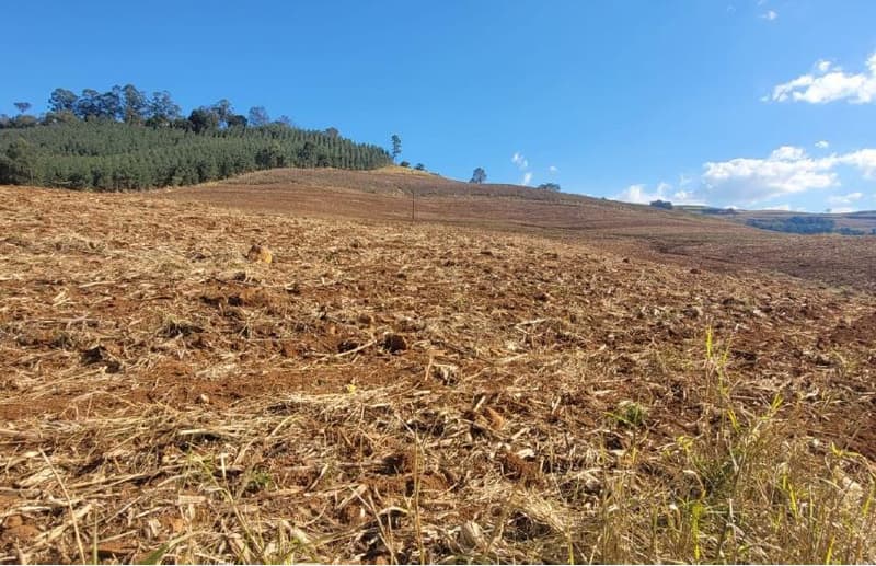 Foto 7 de 8: Area Rural em leilão em Anchieta - SC — Lote Rural 72.600m² Desocupado em Anchieta/SC