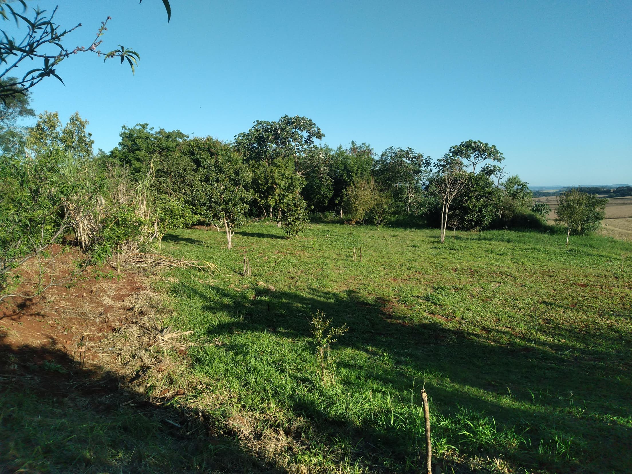 Foto 21 de 41: Area Rural em leilão em Capitão Leônidas Marques - PR — Gleba Urbana Desocupada 27.837m2 no Bairro São Gabriel em Capitão Leonidas Marques/PR