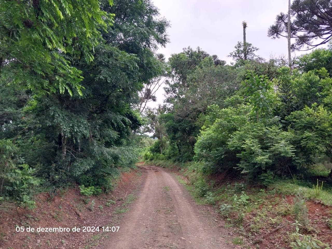 Foto 2 de 17: Terreno em leilão em Lapa - PR — Terreno rural, com área de 36.300,00m², Lapa/PR