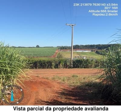 Area Rural em leilão em Cravinhos - SP — IMOVEL RURAL - SITIO SANTO ANTONIO - localizado a 2,2km da cidade de Cravinhos/ SP