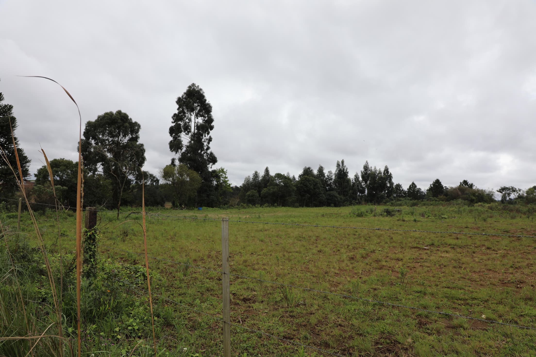 Foto 12 de 17: Terreno em leilão em Curitibanos - SC — IMÓVEL LOCALIZADO NA RUA ROMUALDO SCUR, ÁREA INDUSTRIAL RENATO FARIAS, MUNICÍPIO DE CURITIBANOS-SC COM A ÁREA DE 10.043,92M²