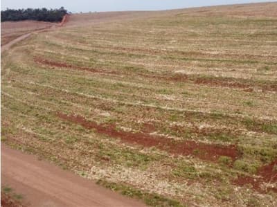 Foto 4 de 5: Area Rural em leilão em Goioerê - PR — IMÓVEL RURAL COM ÁREA TOTAL DE 5.50ha- Em GOIOERÊ/PR