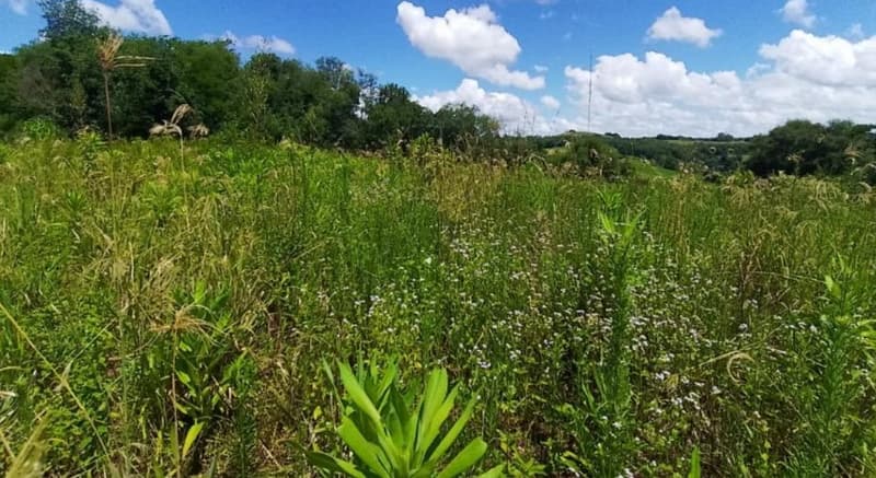 Foto 3 de 10: Area Rural em leilão em São José Do Inhacorá - RS — IMÓVEL RURAL COM ÁREA DE 20.000,00 M2² - EM SÃO JOSÉ DO INHACORÁ/RS