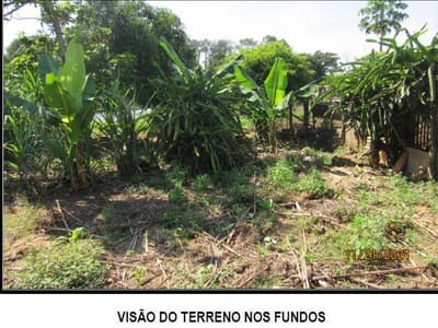 Foto 9 de 14: Area Rural em leilão em Socorro - SP — DIREITOS POSSESSÓRIOS SOBRE IMÓVEL RURAL EM SOCORRO/SP