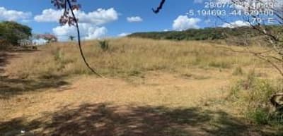 Foto 3 de 8: Area Rural em leilão em Tuntum - MA — IMÓVEIS RURAIS PECUÁRIA | A.T. 66,69 HA | TUNTUM/MA