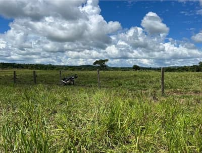 Foto 5 de 10: Area Rural em leilão em Alta Floresta D'oeste - RO — IMÓVEL RURAL | A.T. 49,79 HA | ALTA FLORESTA DOESTE/RO