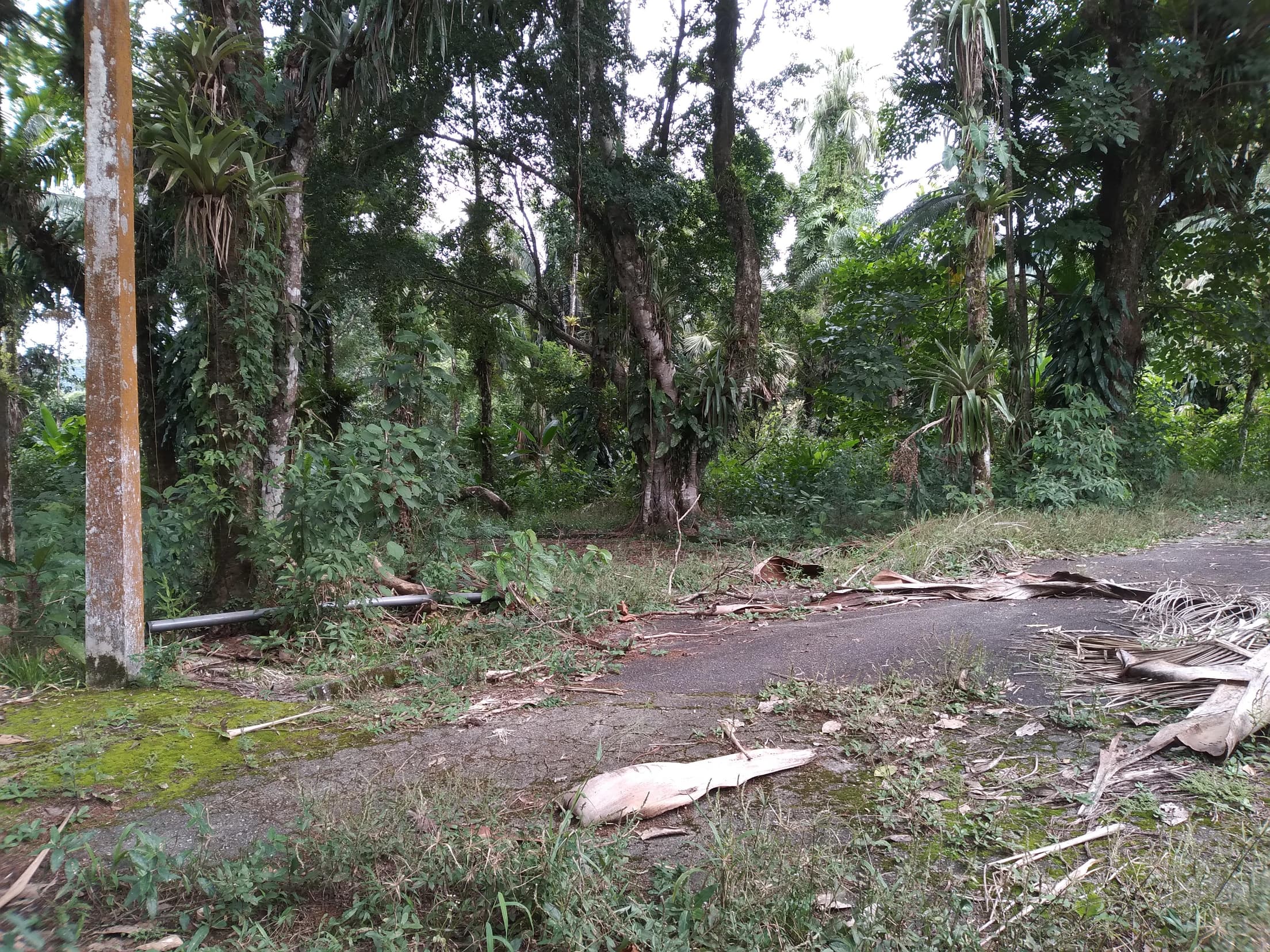 Foto 5 de 13: Terreno em leilão em Antonina - PR — Terreno Rural 308,4632ha Desocupado em Antonina/PR