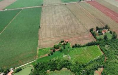 Foto 13 de 13: Area Rural em leilão em Maripá - PR — IMÓVEIS RURAIS EM MARIPÁ-PR