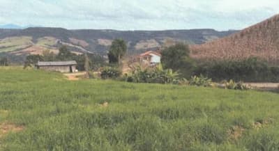 Foto 2 de 14: Area Rural em leilão em Alfredo Wagner - SC, bairro Interior — IMÓVEL RURAL COM ÁREA DE 50.000,00 M2 EM ALFREDO WAGNER-SC