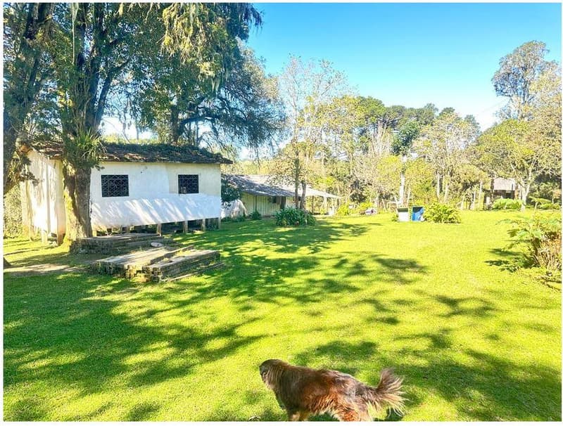 Foto 22 de 35: Area Rural em leilão em São José Dos Pinhais - PR — Sitio com área total de 120.974,16m², localizado Borda do Campo em São José dos Pinhais/PR
