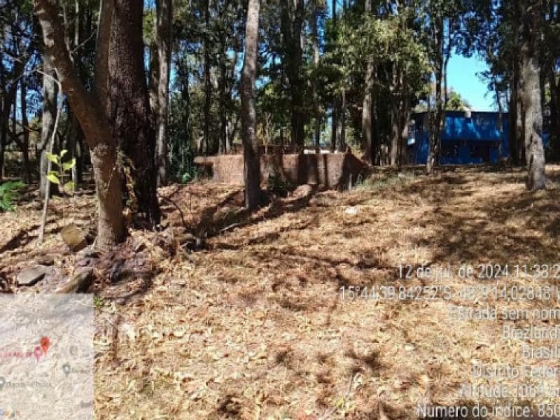 Foto 23 de 33: Area Rural em leilão em Brasília - DF, bairro Brazlândia — Area, 12.58 ha, Brasilia / DF