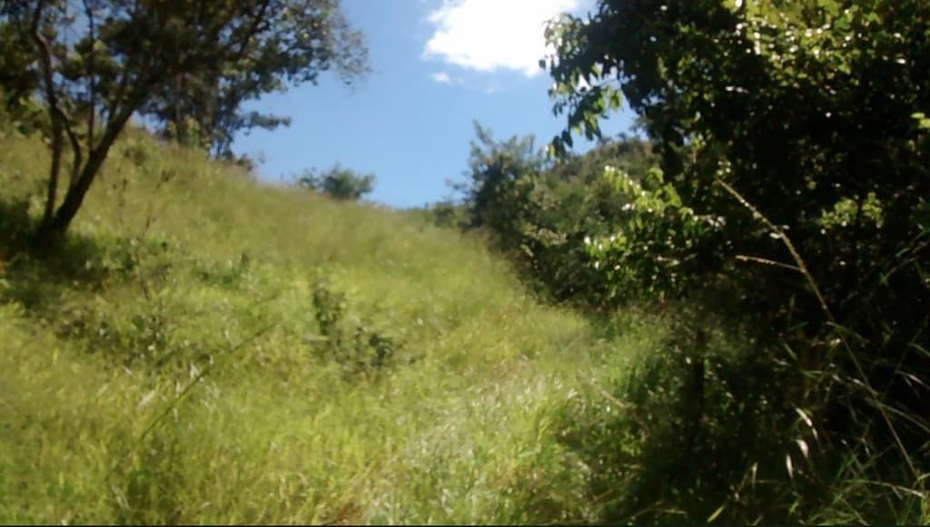 Foto 2 de 4: Area Rural em leilão em Padre Bernardo - GO — IMÓVEL RURAL | A.T. 214.634 HA FAZ. SANTA FÉ | PADRE BERNARDO/GO - LEILÃO EMPRESARIAL SISTÊMICO SICREDI