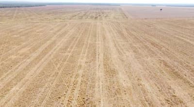 Foto 4 de 6: Area Rural em leilão em Brasnorte - MT — Fazenda Elo Verde 2.200 hectares em MT 50% de desconto