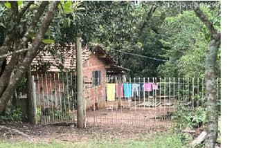 Foto 8 de 10: Area Rural em leilão em Itapeva - SP, bairro Lagoa Seca — (50%) Imóvel Rural, 9,68ha, plantio agrícola, mata nativa, eucalipto, Bairro Lagoa Seca