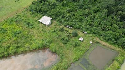 Foto 3 de 7: Area Rural em leilão em Alta Floresta D'oeste - RO — IMÓVEL RURAL COM 11,6614HA, SETOR PARECIS EM ALTA FLORESTA D'OESTE/RO.