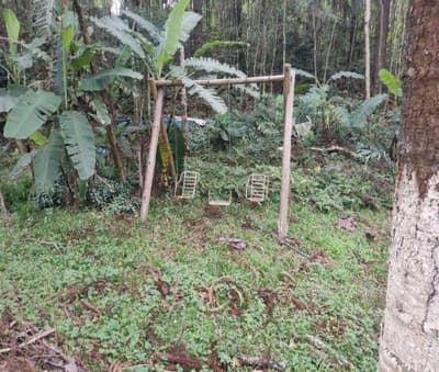 Foto 23 de 26: Area Rural em leilão em São João Do Triunfo - PR — IMÓVEL RURAL COM EXTENSÃO URBANA - ÁREA TOTAL DE 60.726,43 m²-AVENIDA DAS ARAUCÁRIAS-LADEIRA- SÃO JOÃO DO TRIUNFO-PR