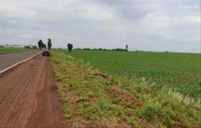 Foto 12 de 13: Area Rural em leilão em Maripá - PR — IMÓVEIS RURAIS EM MARIPÁ-PR