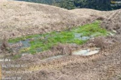 Foto 6 de 15: Terreno em leilão em Vidal Ramos - SC, bairro Área Rural — IMÓVEL RURARL COM ÁREA TOTAL DE 13.000 ha,- Em VIDAL RAMOS/SC