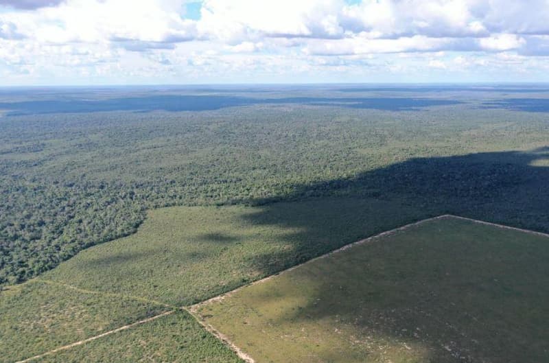 Terreno em leilão em Guaraí - TO — Terreno Rural Desocupado em Guaraí/TO
