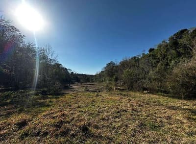 Foto 2 de 3: Area Rural em leilão em Francisco Beltrão - PR — Lote rural com área superficial de 32.325,00m², Francisco Beltrão/PR
