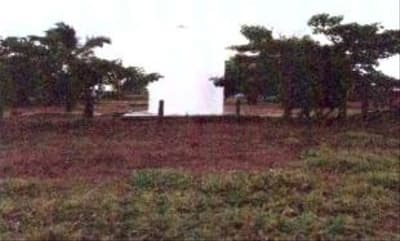 Foto 3 de 4: Area Rural em leilão em Alcinópolis - MS — IMÓVEL RURAL COM ÁREA TOTAL DE 64,00 ha e 3.432,00 m2- Em ALCINÓPOLIS/MS