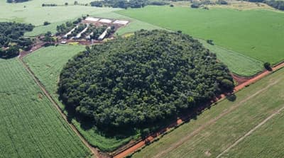 Foto 1 de 8: Area Rural em leilão em Santo Antônio Da Barra - GO — IMÓVEL RURAL | A.T. 84,72,08HA FAZ. BARRA (CULTURA DE GRÃOS) | SANTO ANTÔNIO DA BARRA/GO