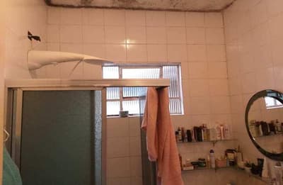 Foto 13 de 26: Casa em leilão em São Sebastião - SP — (12,50%) Casa, A.T. 433m², A.C. 157m², Pontal da Cruz