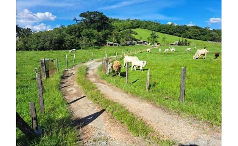 Foto 23 de 64: Terreno em leilão em Blumenau - SC — Um imóvel com área total de 102.114,74m² em Blumenau/SC