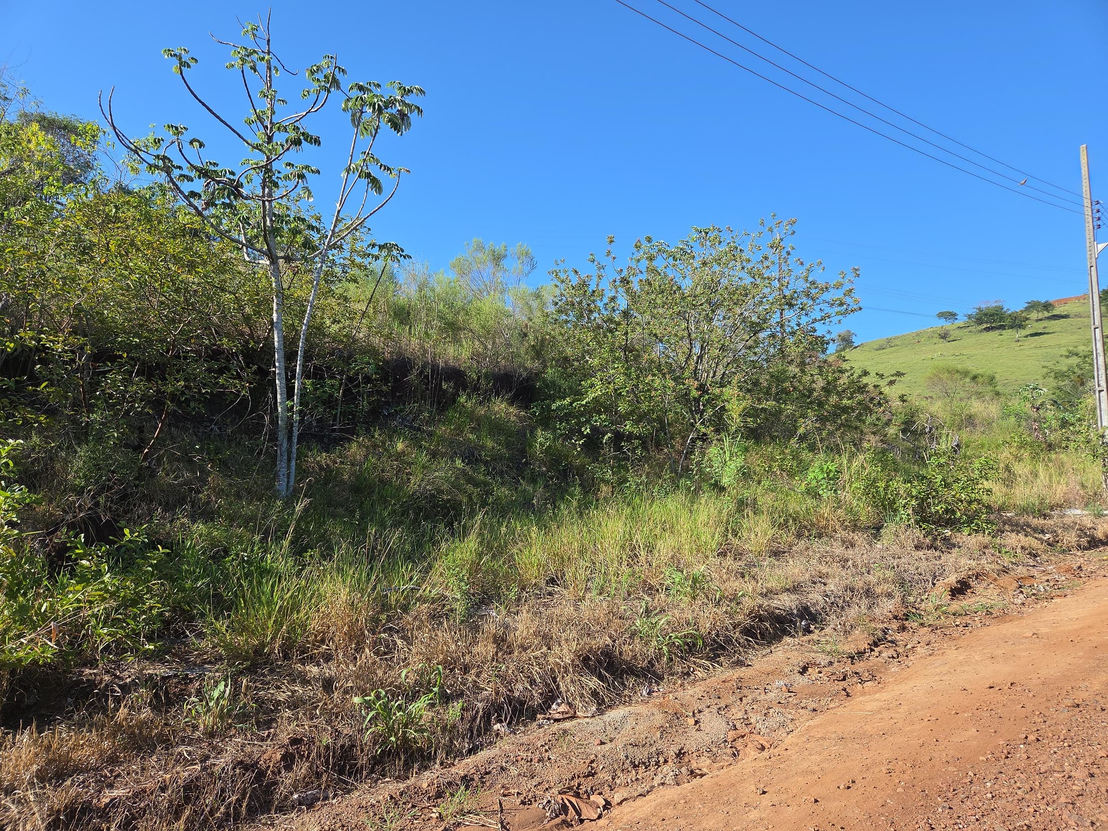 Foto 3 de 4: Terreno em leilão em Nova Prata Do Iguaçu - PR, bairro Distrito Turístico — LOTE URBANO Nº 07, QUADRA Nº 12 DO LOTEAMENTO ESTRELA DOURADA DO MUNICÍPIO DE NOVA PRATA DO IGUAÇU/PR ÁREA DE 450M²