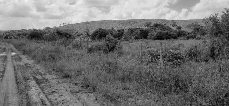 Foto 10 de 10: Area Rural em leilão em Porto Calvo - AL — IMÓVEL RURAL OBJETO DA MATRÍCULA 1.947 DO CARTÓRIO DE REGISTRO DE IMÓVEIS DA COMARCA PORTO CALVO/AL