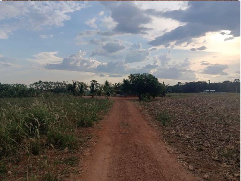 Foto 4 de 5: Area Rural em leilão em Cabixi - RO — IMÓVEL RURAL, 8.2305,59HA, CABIXI/RO - CULTIVO DE GRÃOS, BEIRA RODOVIA E APENAS 4KM DO PERÍMETRO URBANO