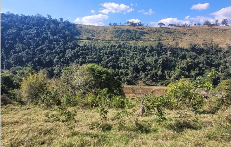 Foto 4 de 8: Area Rural em leilão em Anchieta - SC — Lote Rural 72.600m² Desocupado em Anchieta/SC