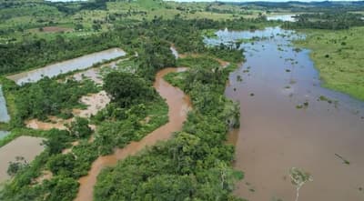 Foto 5 de 7: Area Rural em leilão em Alta Floresta D'oeste - RO — IMÓVEL RURAL COM 11,6614HA, SETOR PARECIS EM ALTA FLORESTA D'OESTE/RO.