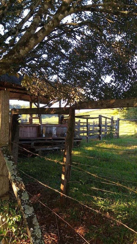 Foto 6 de 6: Area Rural em leilão em Quedas Do Iguaçu - PR — Imóvel rural com área de 29,3293HA, Quedas do Iguaçu/PR