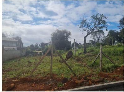 Foto 7 de 23: Area Rural em leilão em Francisco Beltrão - PR, bairro São Miguel — Parte ideal correspondente a 19.150,00 , contendo uma área superficial de 94.839,10m² - Colônia Missões, Francisco Beltrão/PR