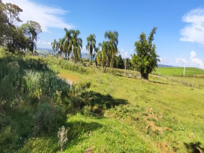 Foto 8 de 8: Area Rural em leilão em Bom Retiro - SC, bairro Costão do Frade — Fazenda, 8.0 ha, Bom Retiro / SC