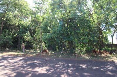 Foto 13 de 16: Terreno em leilão em Foz Do Iguaçu - PR — Terreno com 4.919,10 m² , sem benfeitorias, na Avenida Theodoro Risden nº 598, Foz do Iguaçu/PR