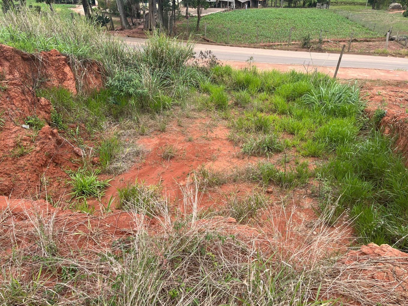 Terreno em leilão em Canaã - MG, bairro Centro — IMÓVEL URBANO COM ÁREA TOTAL DE 295,12 M2 EM CANAÃ-MG