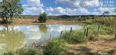 Foto 1 de 8: Area Rural em leilão em Tuntum - MA — IMÓVEIS RURAIS PECUÁRIA | A.T. 66,69 HA | TUNTUM/MA