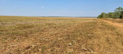 Foto 3 de 9: Area Rural em leilão em Brasnorte - MT — Fazenda Esmeralda 1.020,32 hectares em MT 50% de desconto