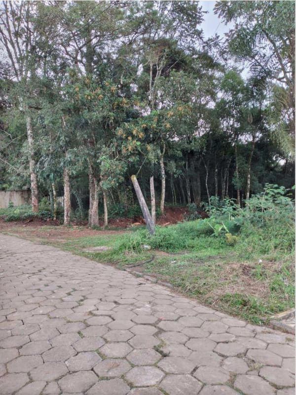 Foto 7 de 8: Terreno em leilão em Porto União - SC — Terreno com aproximadamente 8.259,10m².