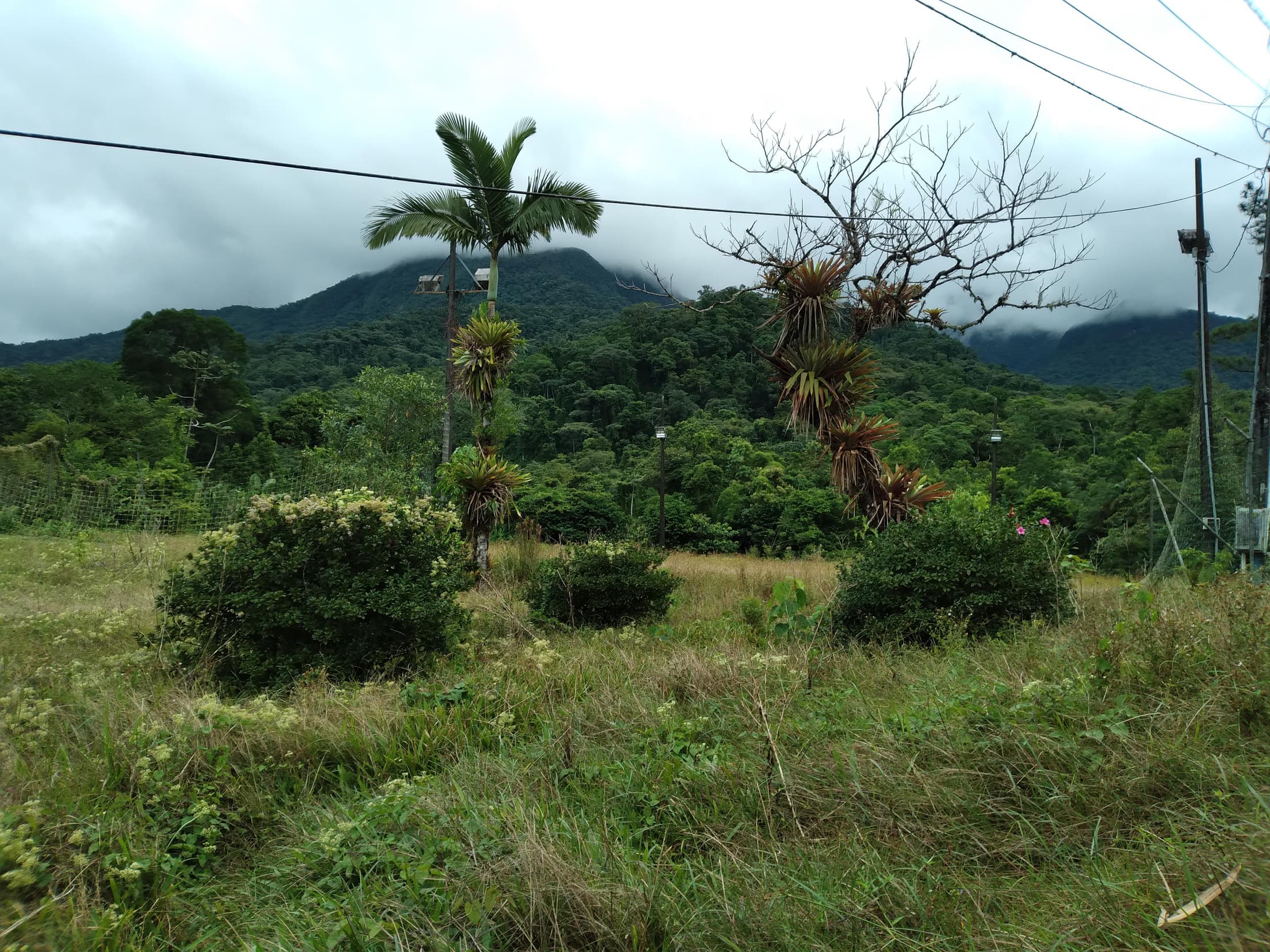 Foto 3 de 13: Terreno em leilão em Antonina - PR — Terreno Rural 308,4632ha Desocupado em Antonina/PR
