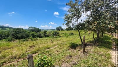 Foto 2 de 2: Area Rural em leilão em Anhembi - SP, bairro Barreirinho — Imóvel Rural, A.T. 382 ha, Barreirinho (Parte ideal 2,5888% ou 11,4 ha)