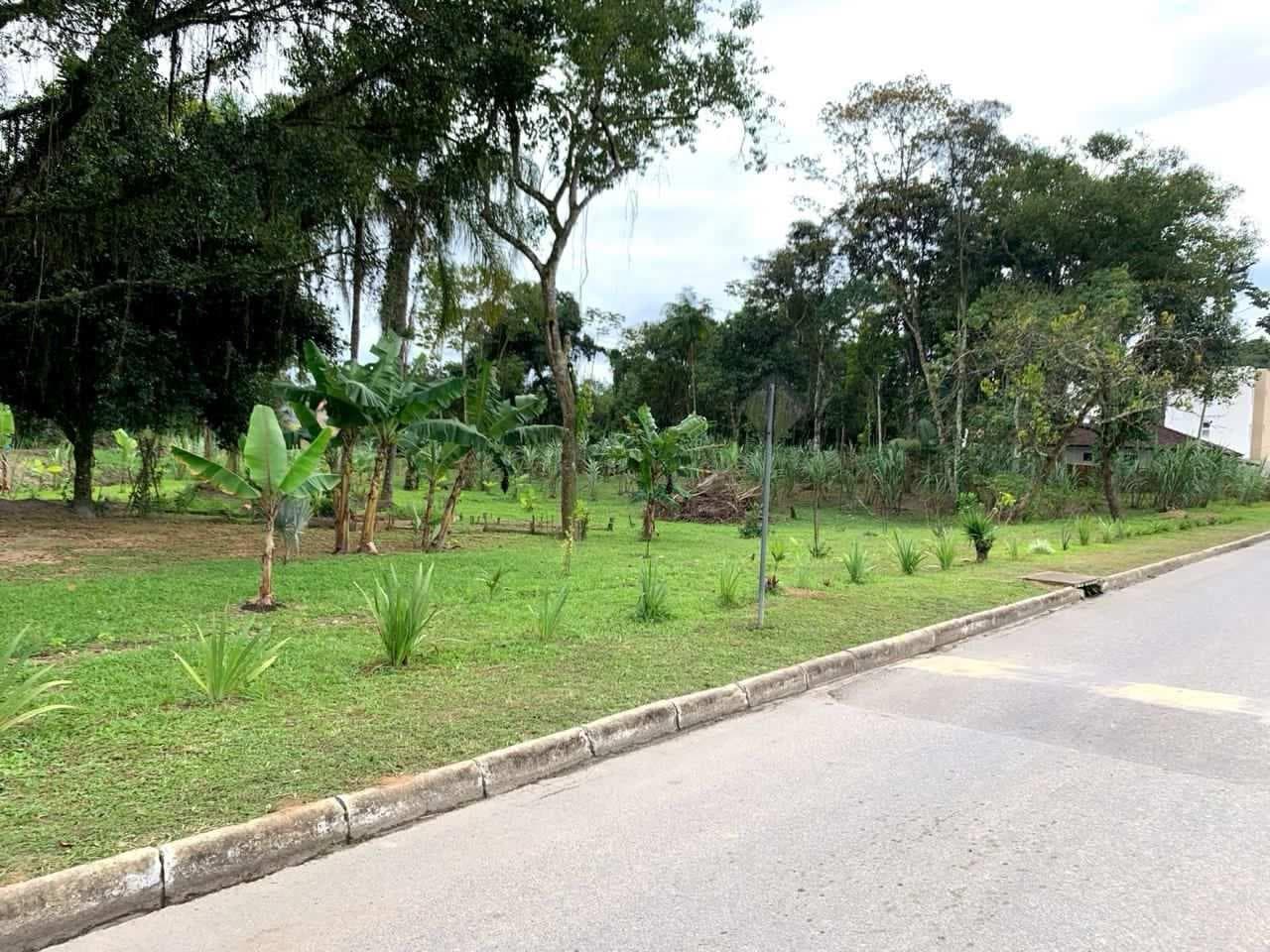 Terreno em leilão em São Francisco Do Sul - SC — Terreno SFS