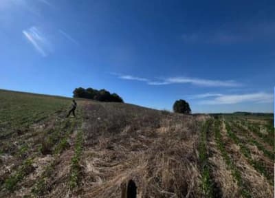 Foto 1 de 6: Area Rural em leilão em São José Das Missões - RS — IMÓVEL RURAL COM ÁREA DE 33.116,81M2 EM SÃO JOSÉ DAS MISSÕES -RS
