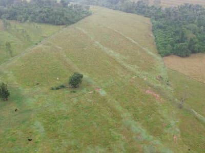 Foto 4 de 6: Area Rural em leilão em Pérola - PR — IMÓVEL RURAL COM ÁREA TOTAL DE 84.700 m2- Em PÉROLA/PR